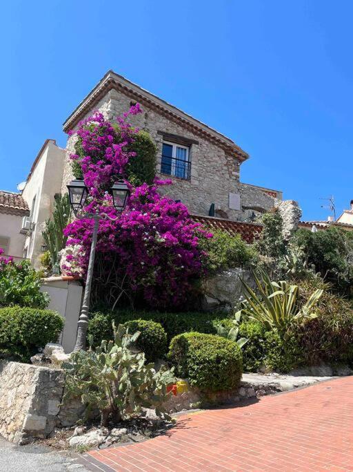 Moringa - New Unit For 2 Ac Close To Beach Antibes Zewnętrze zdjęcie